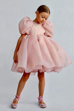 Load image into Gallery viewer, Blush Pink tulle volume dress
